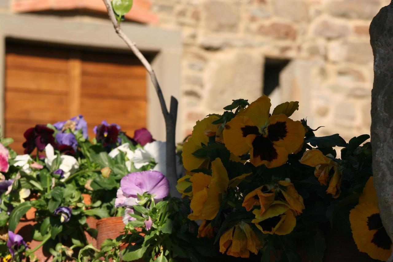 Podere Pian De' Cortini Villa Serravalle  Exterior photo